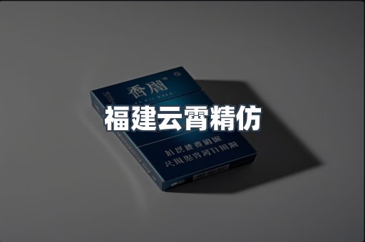 福建云霄精仿